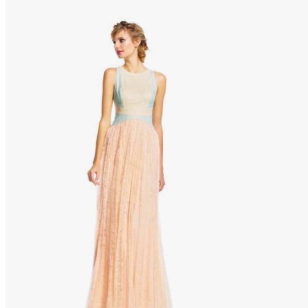Adrianna Papell Lace Colorblock Gown